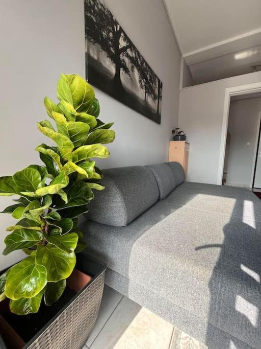 Maria'S Sunlit Apartment Pireus Zewnętrze zdjęcie